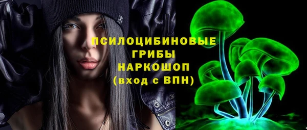 винт Аркадак