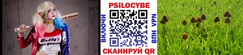 сколько стоит  Тырныауз  MEGA рабочий сайт  Псилоцибиновые грибы Cubensis 