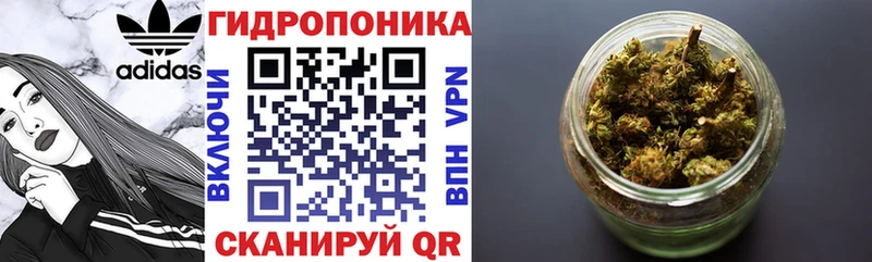 Шишки марихуана гибрид  ОМГ ОМГ ССЫЛКА  Тырныауз 